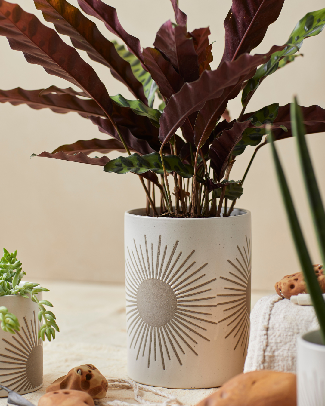 Sunrise-to-Sunset Planter Large