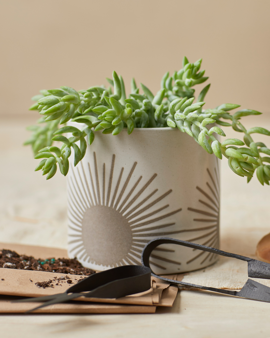 Sunrise-to-Sunset Planter Small