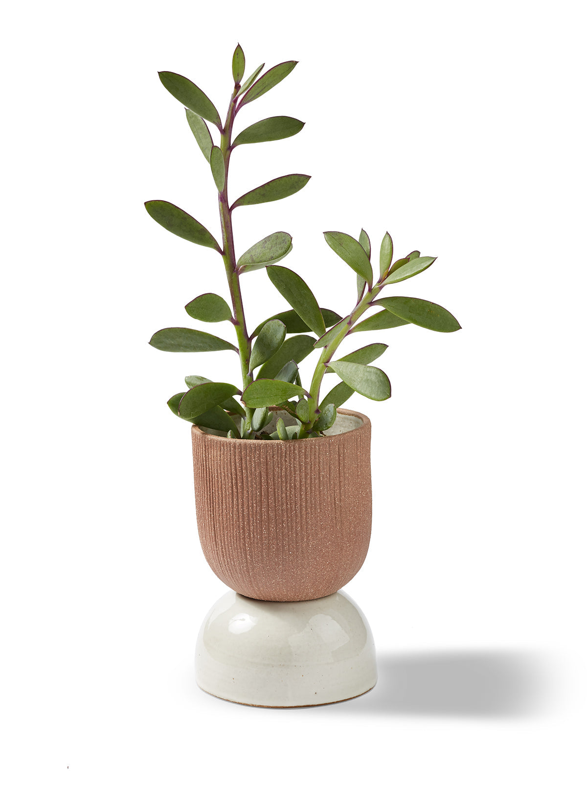 Canyon Tabletop Vessel Small