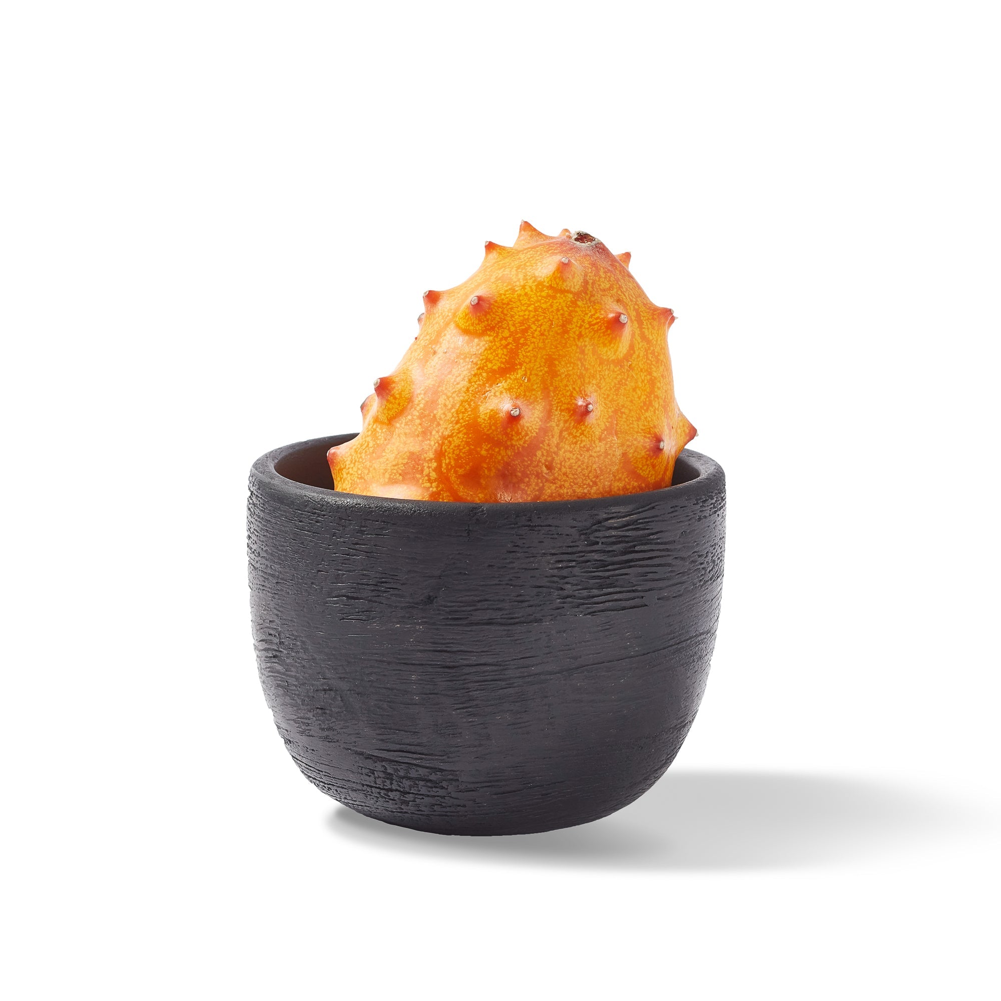 Noir Tid-Bit Bowl Small