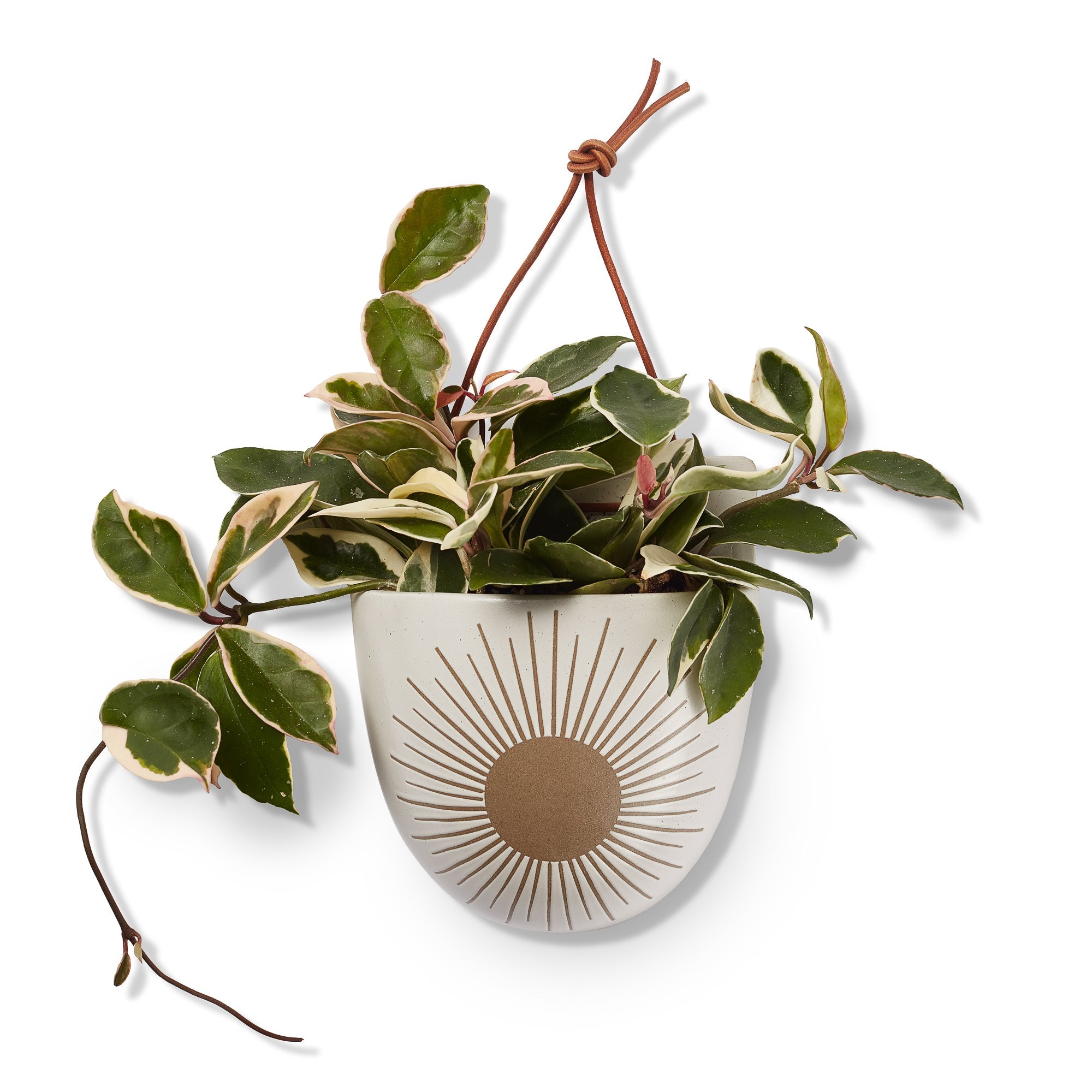 Sunrise-to-Sunset Wall Planter Pocket