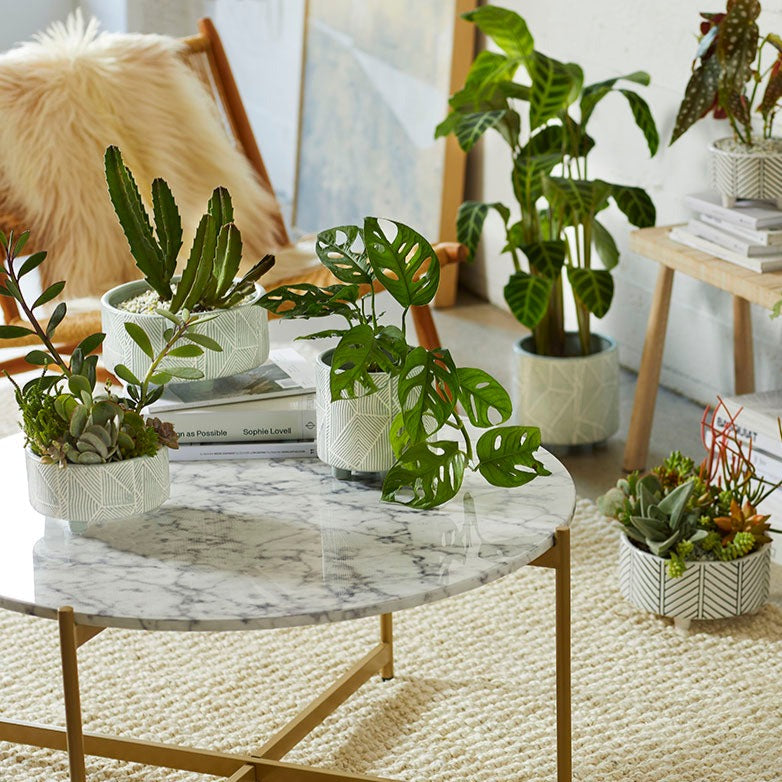 Geometric Planter Moss Extra Large