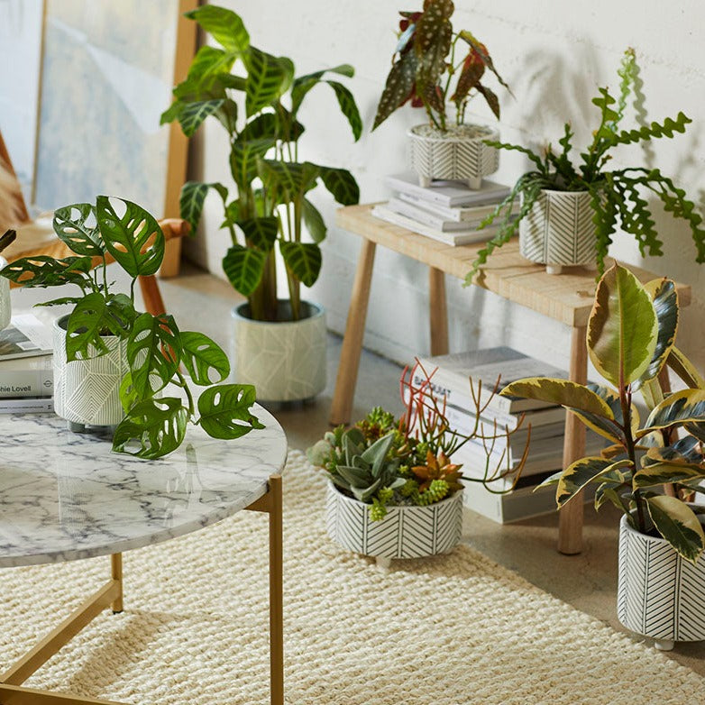 Geometric Planter Moss, Set of 2