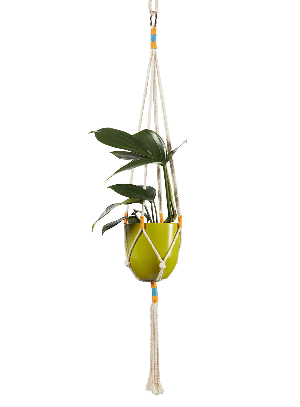 Macrame Hanging Planter Green