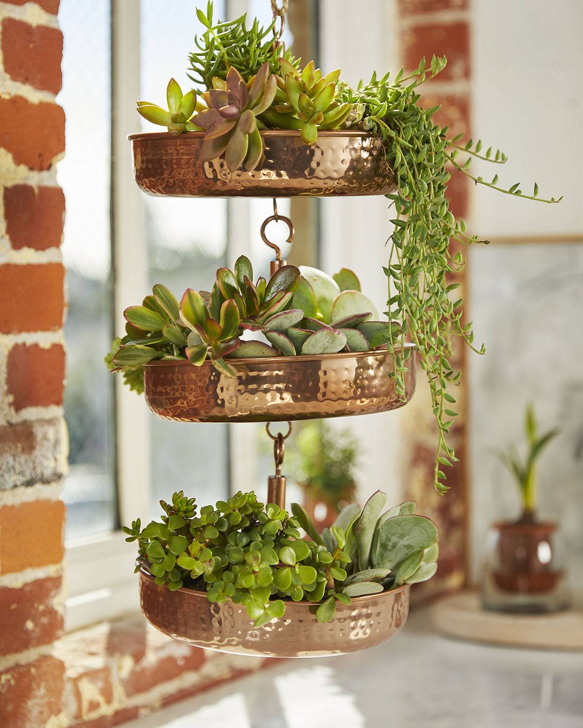 Copper Hanging Planters Set of 3