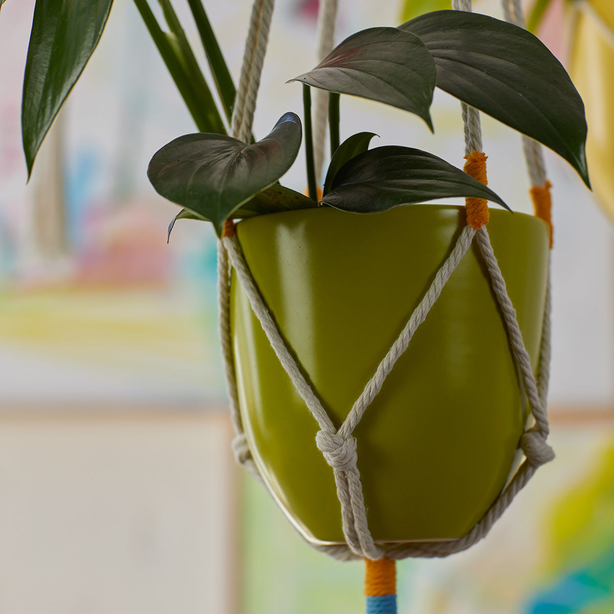 Macrame Hanging Planter Green