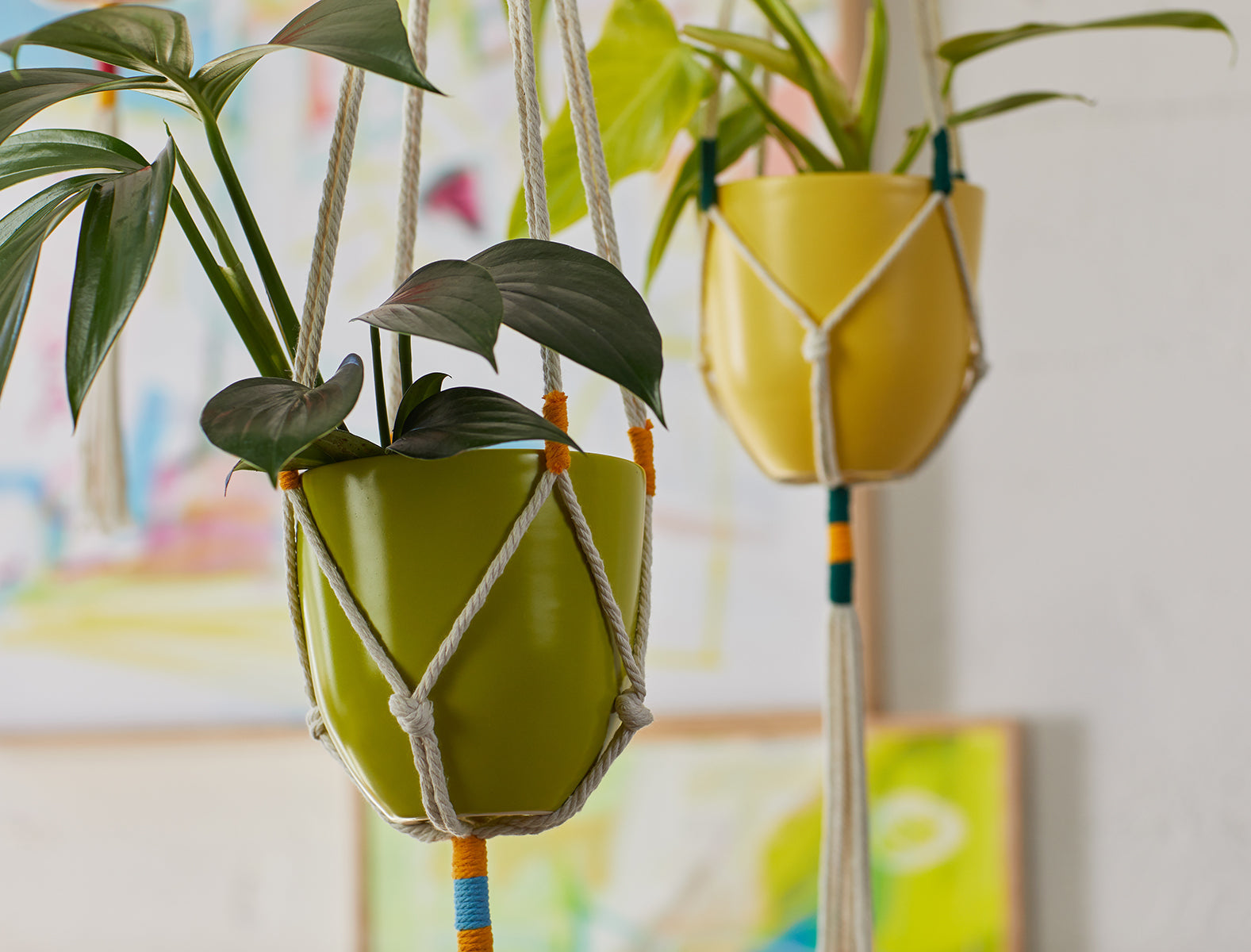 Macrame Hanging Planter Green