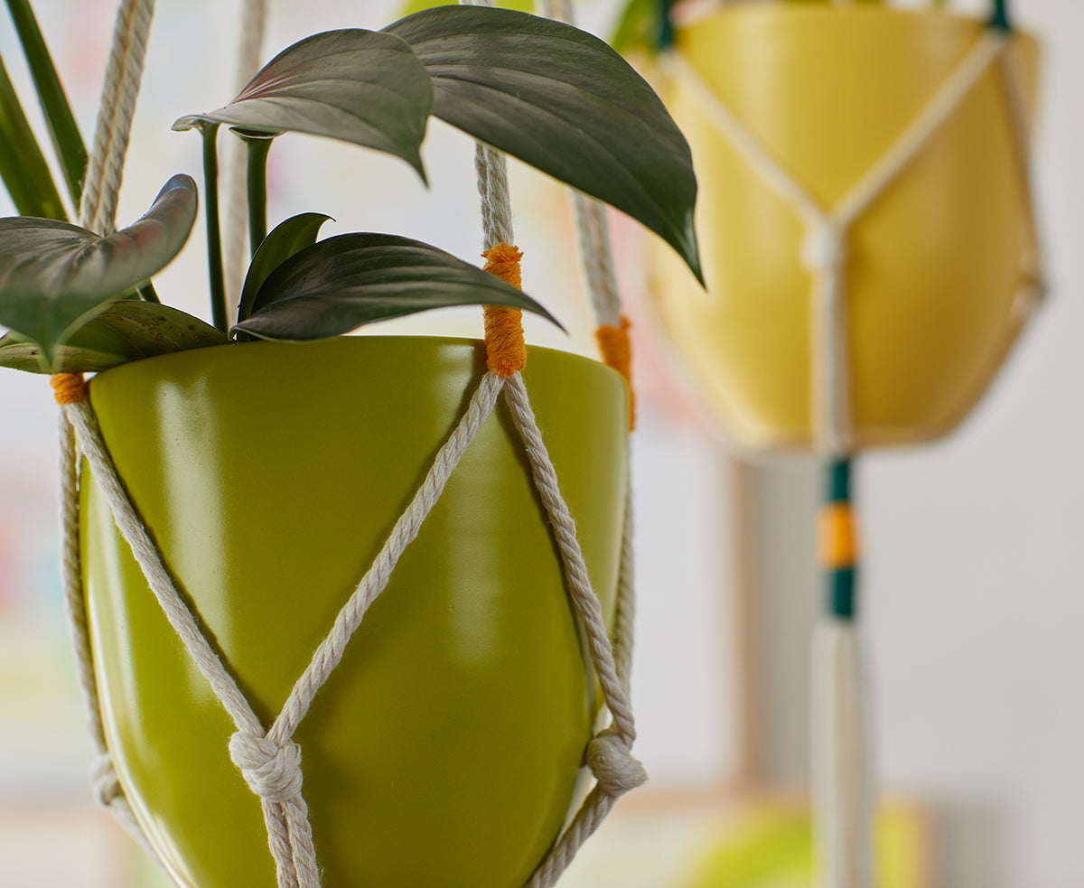 Macrame Hanging Planter Green