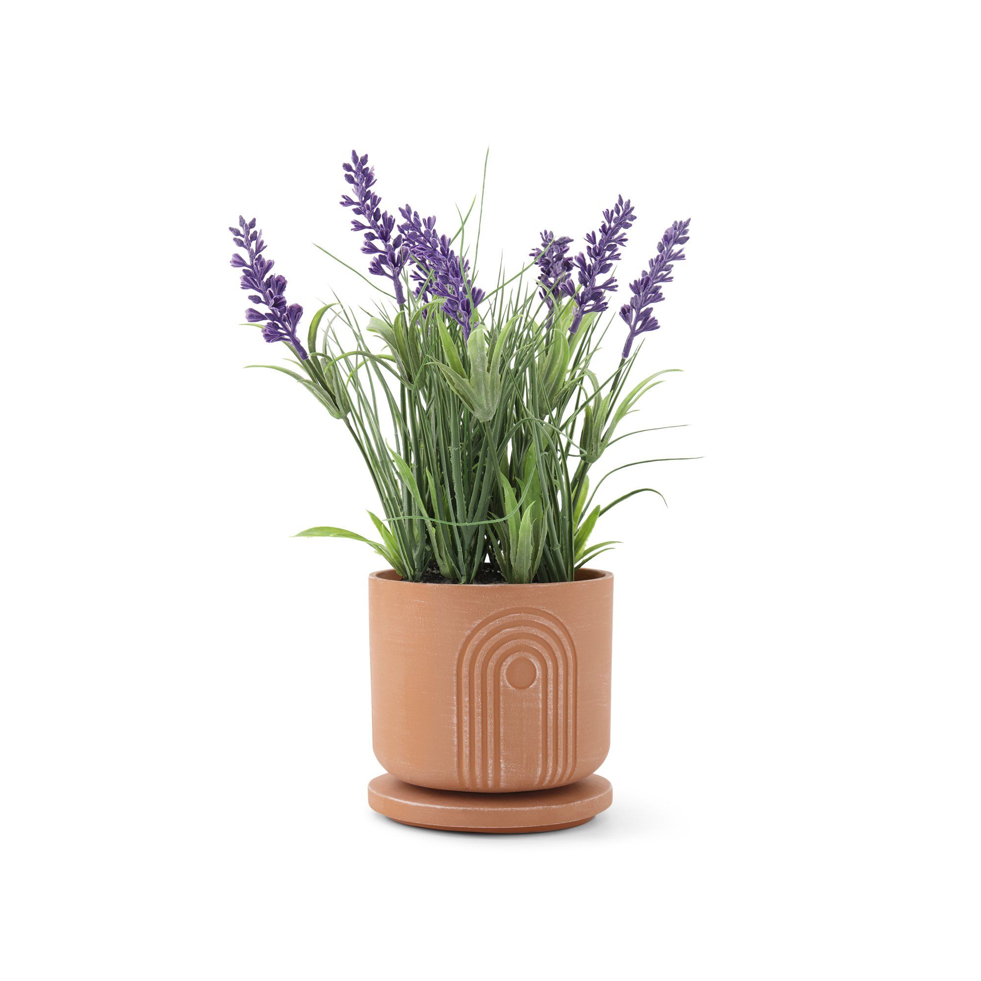 Daily Starters Terracotta Glow-and-Grow Candle Pot