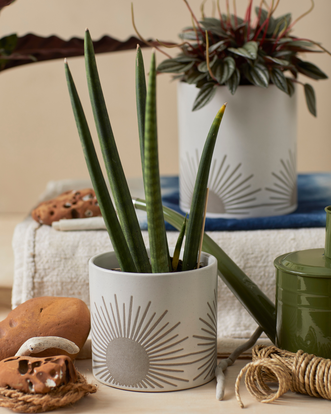 Sunrise-to-Sunset Planter Small