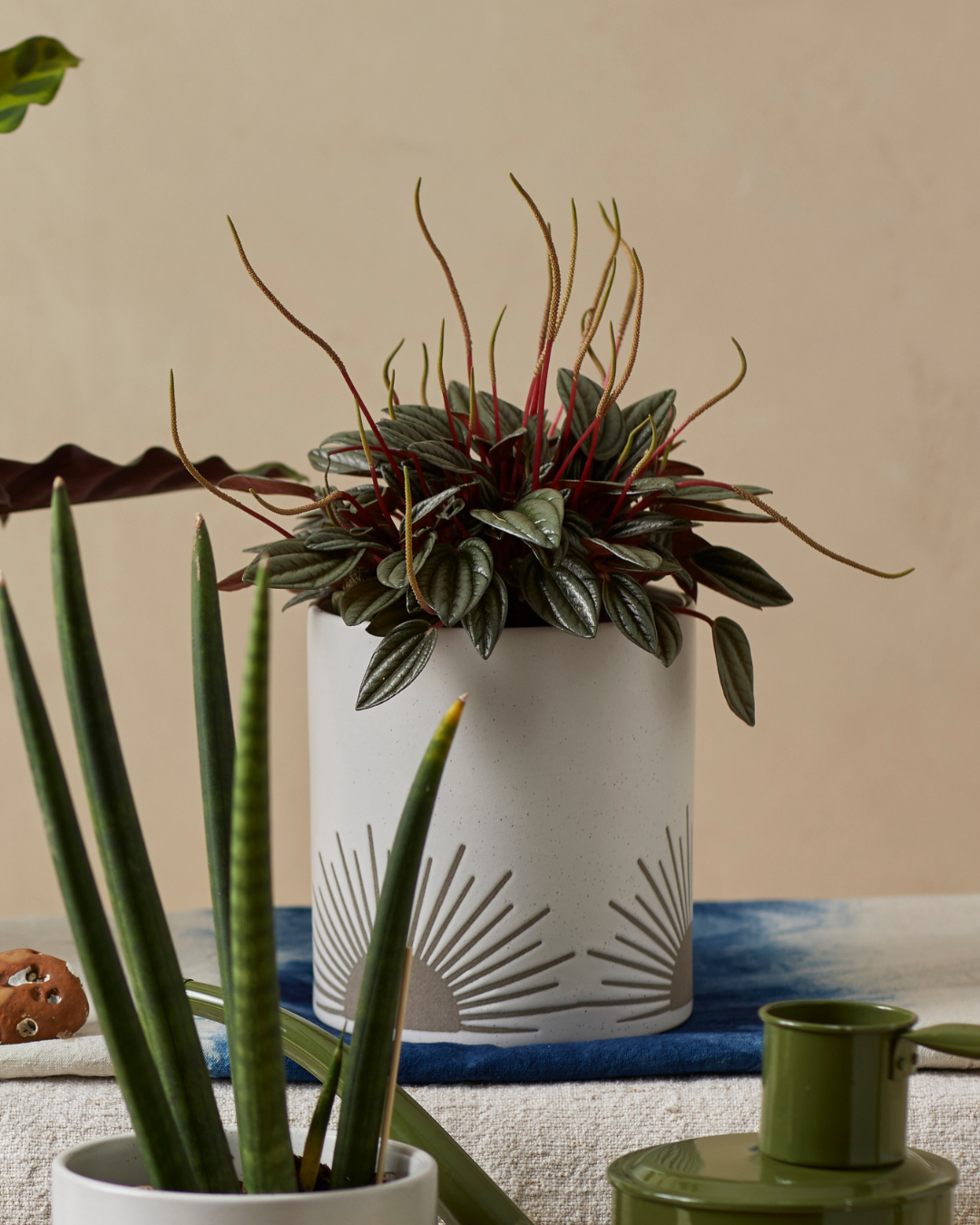 Sunrise-to-Sunset Planter Medium