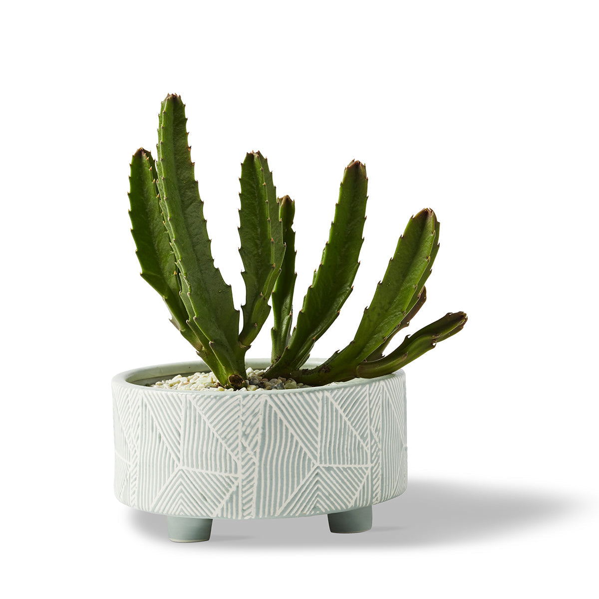 Geometric Planter Moss Extra Large