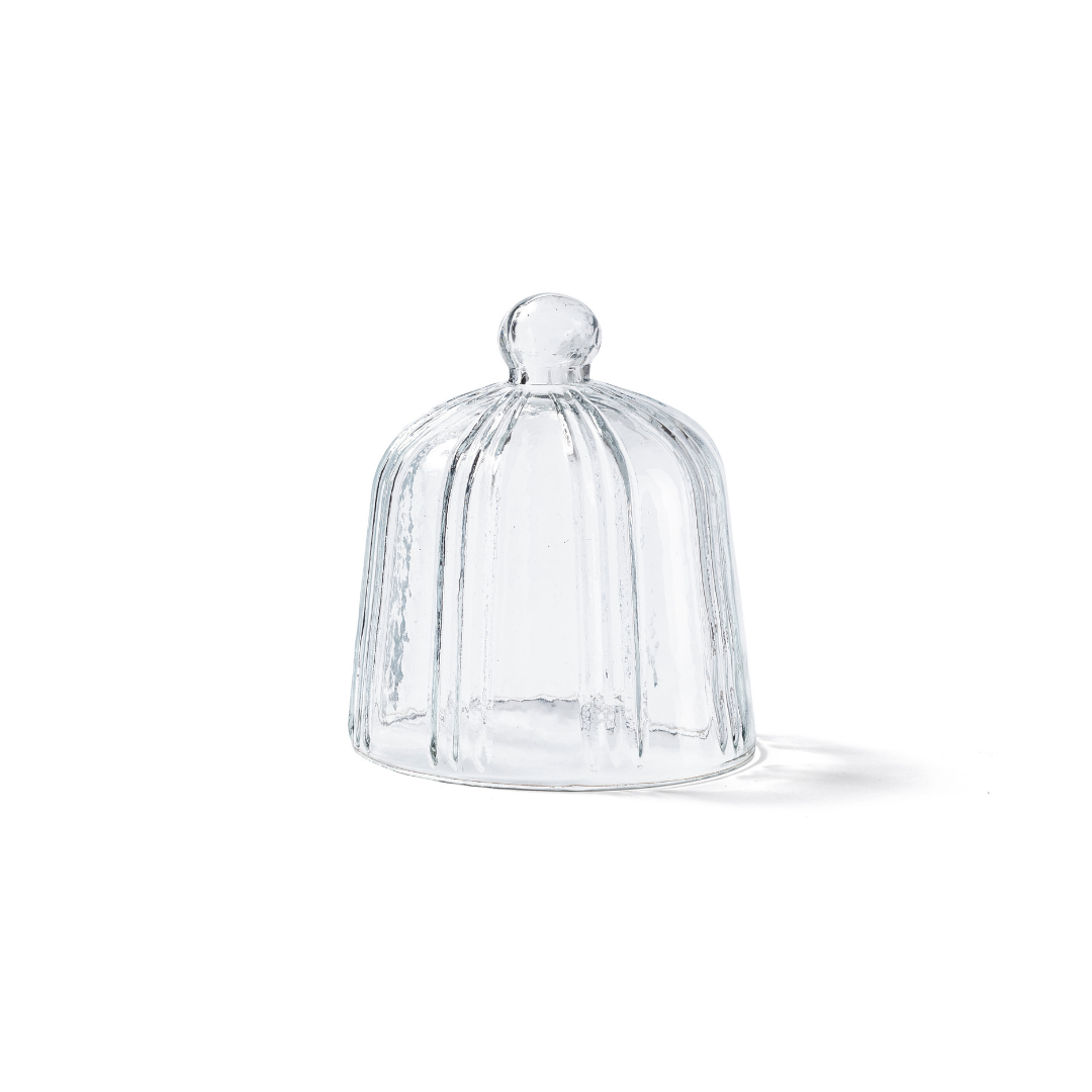 Ripple Cloche Dome Small