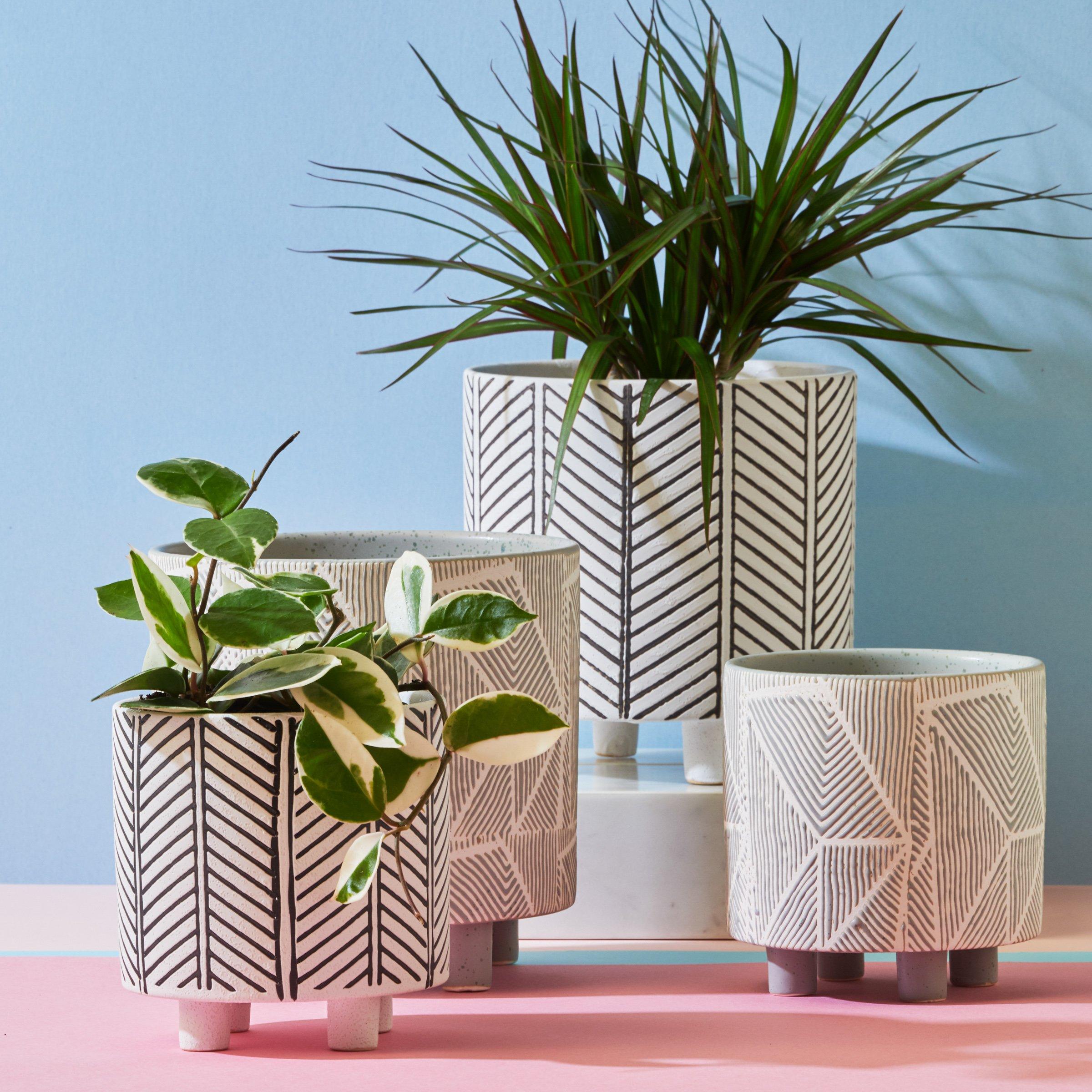 Geometric Planter Moss, Set of 2