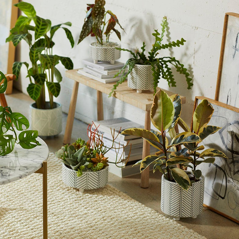 Geometric Planter Cloud Set of 2