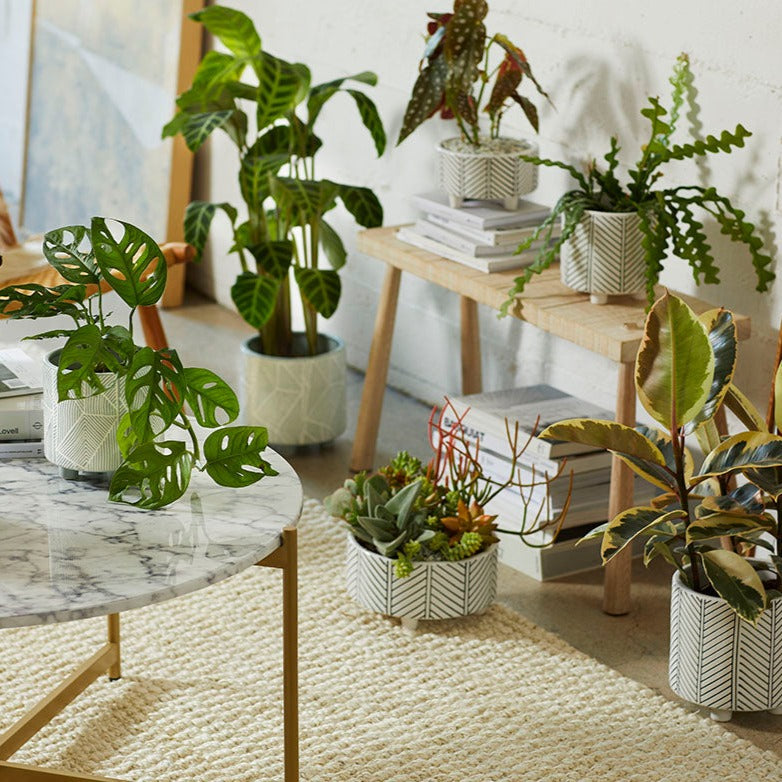 Geometric Planter Cloud Large