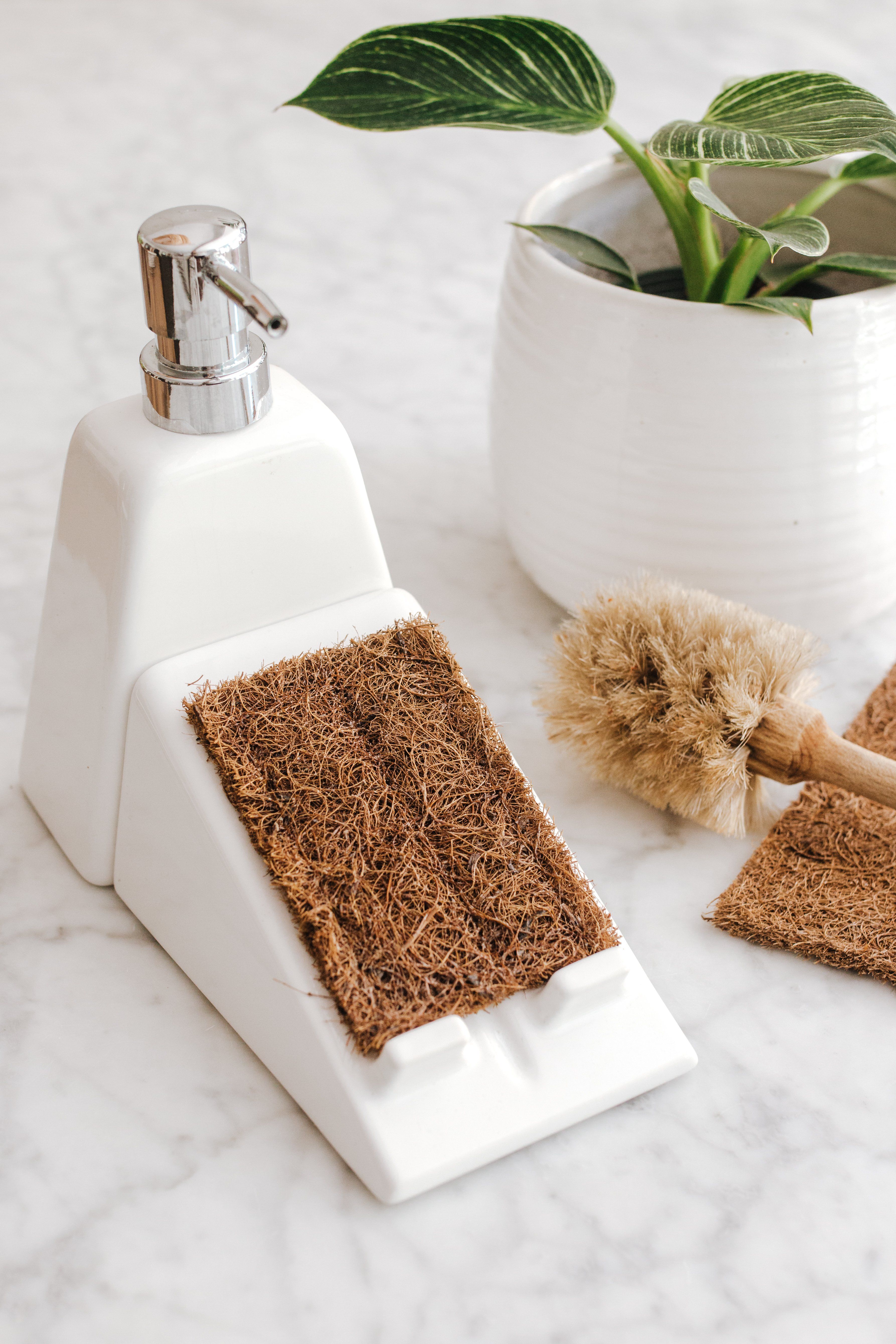 Daily Starters Soap Pump and Sponge Tray