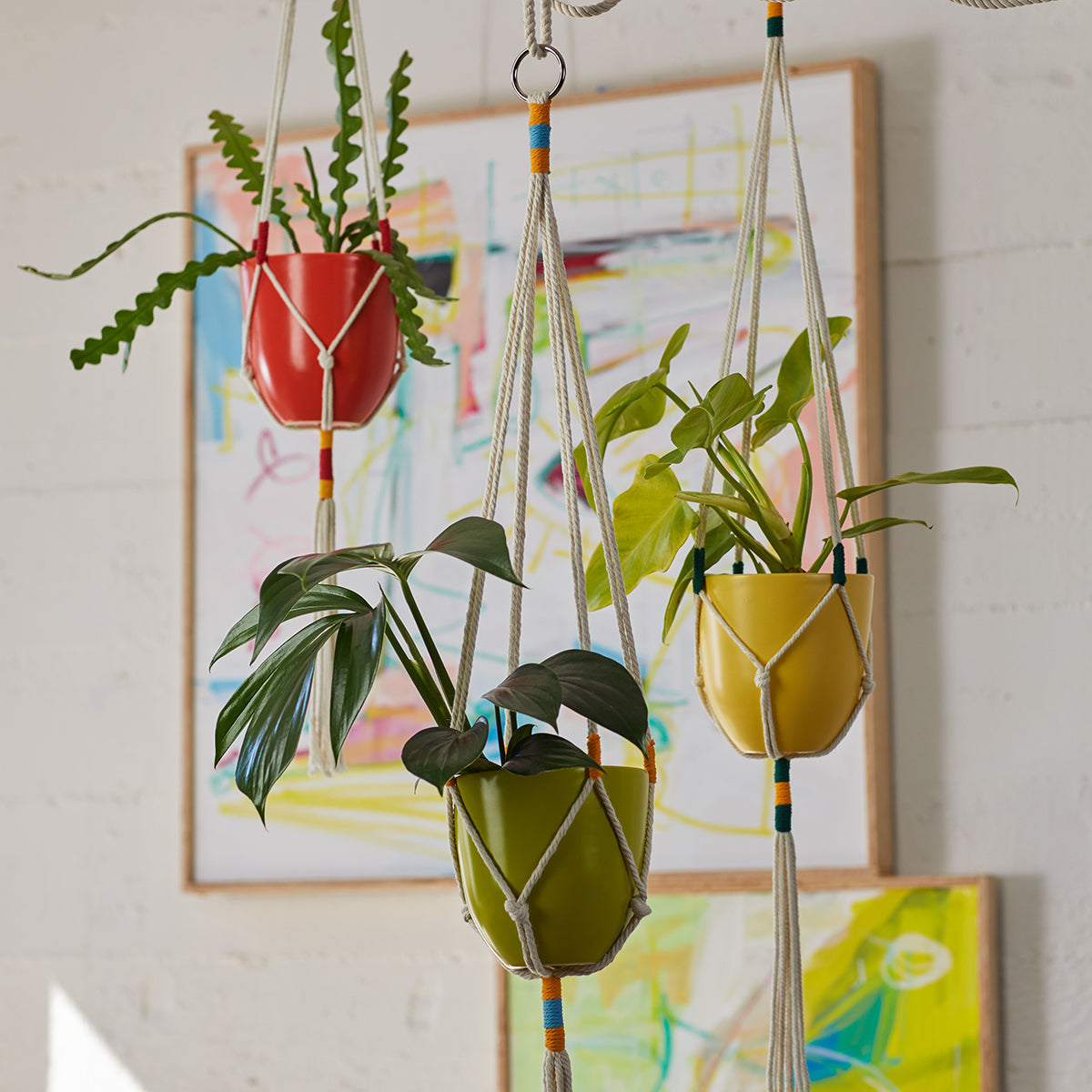 Macrame Hanging Planter Yellow