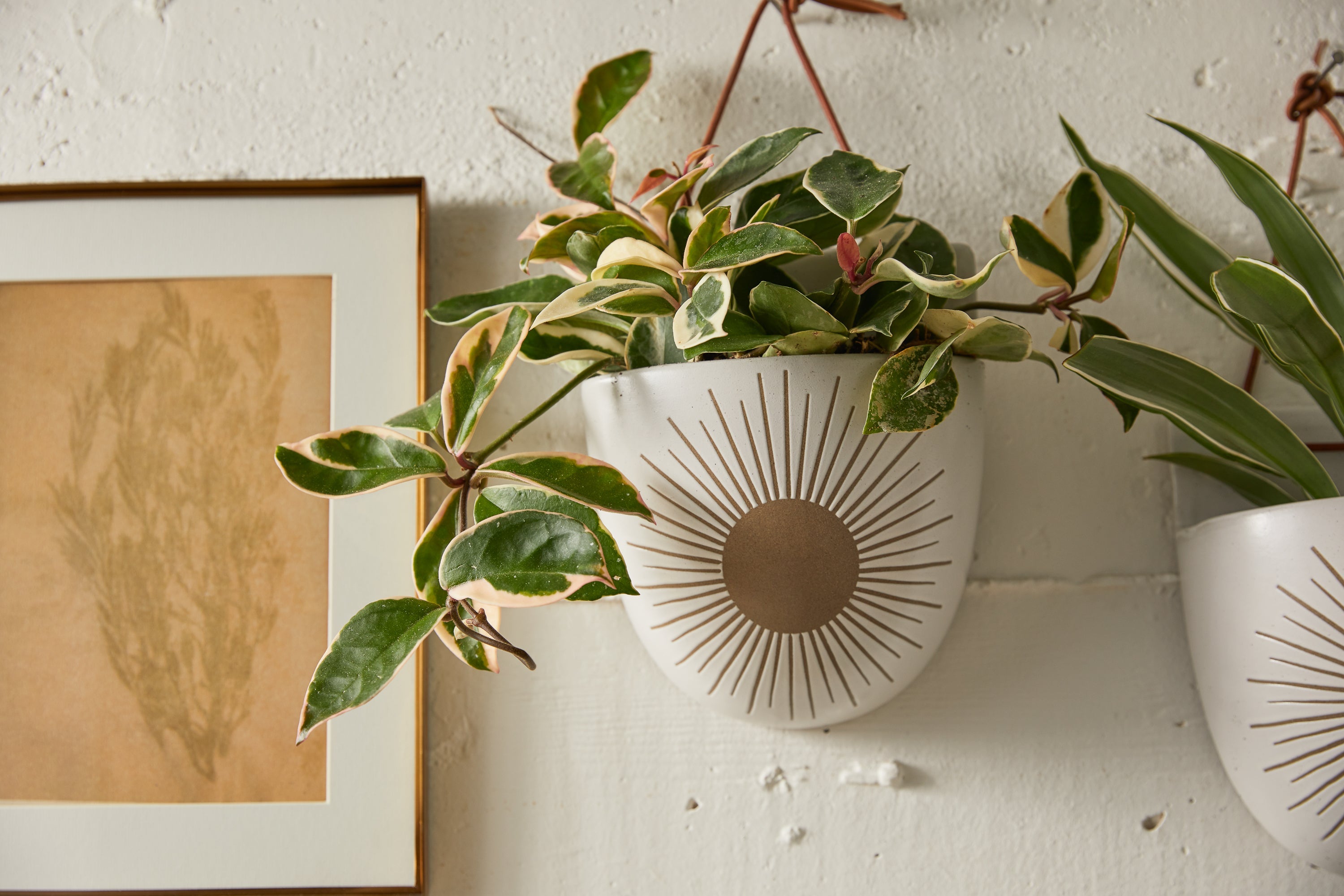Sunrise-to-Sunset Wall Planter Pocket