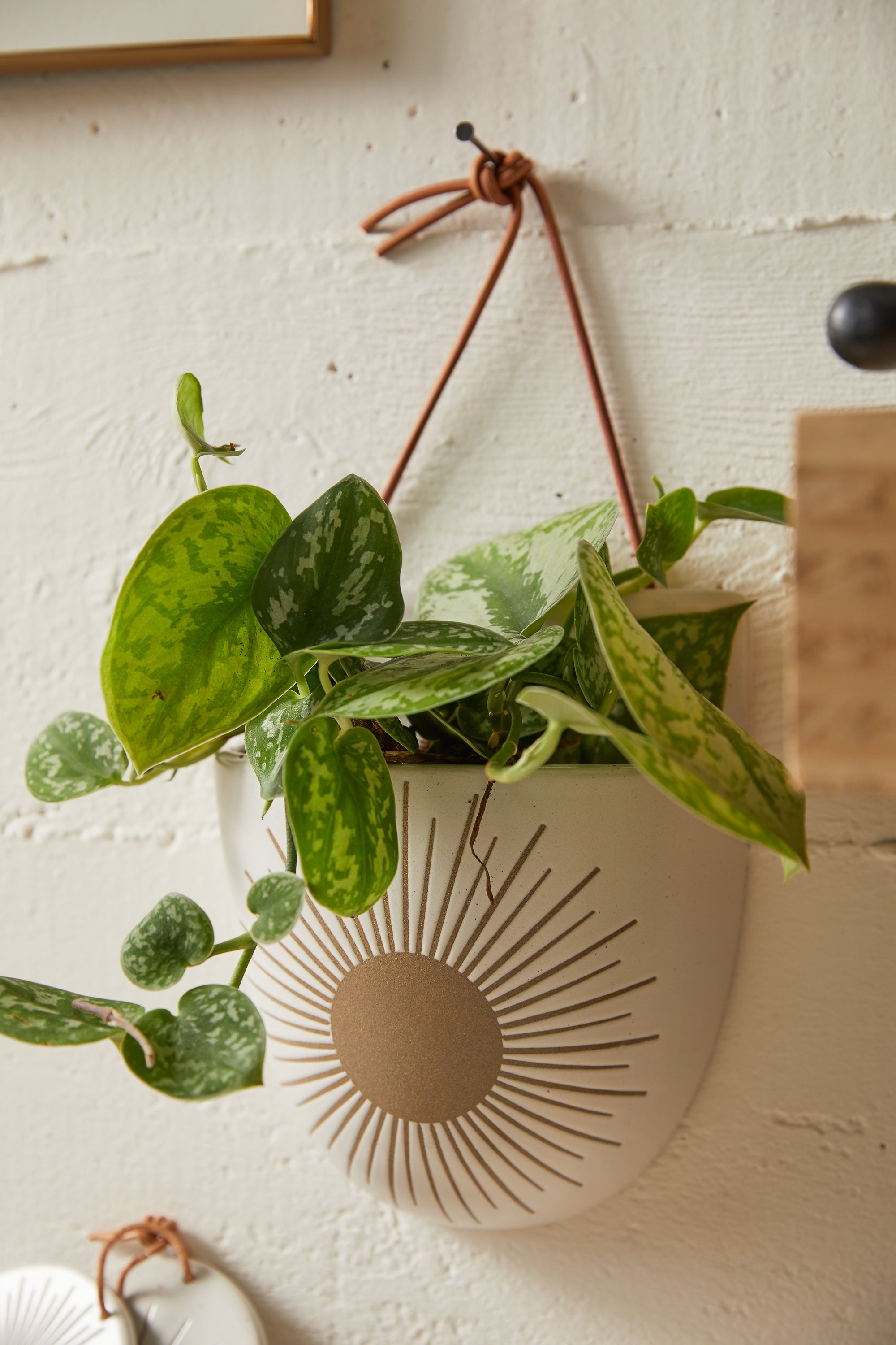 Sunrise-to-Sunset Wall Planter Pocket
