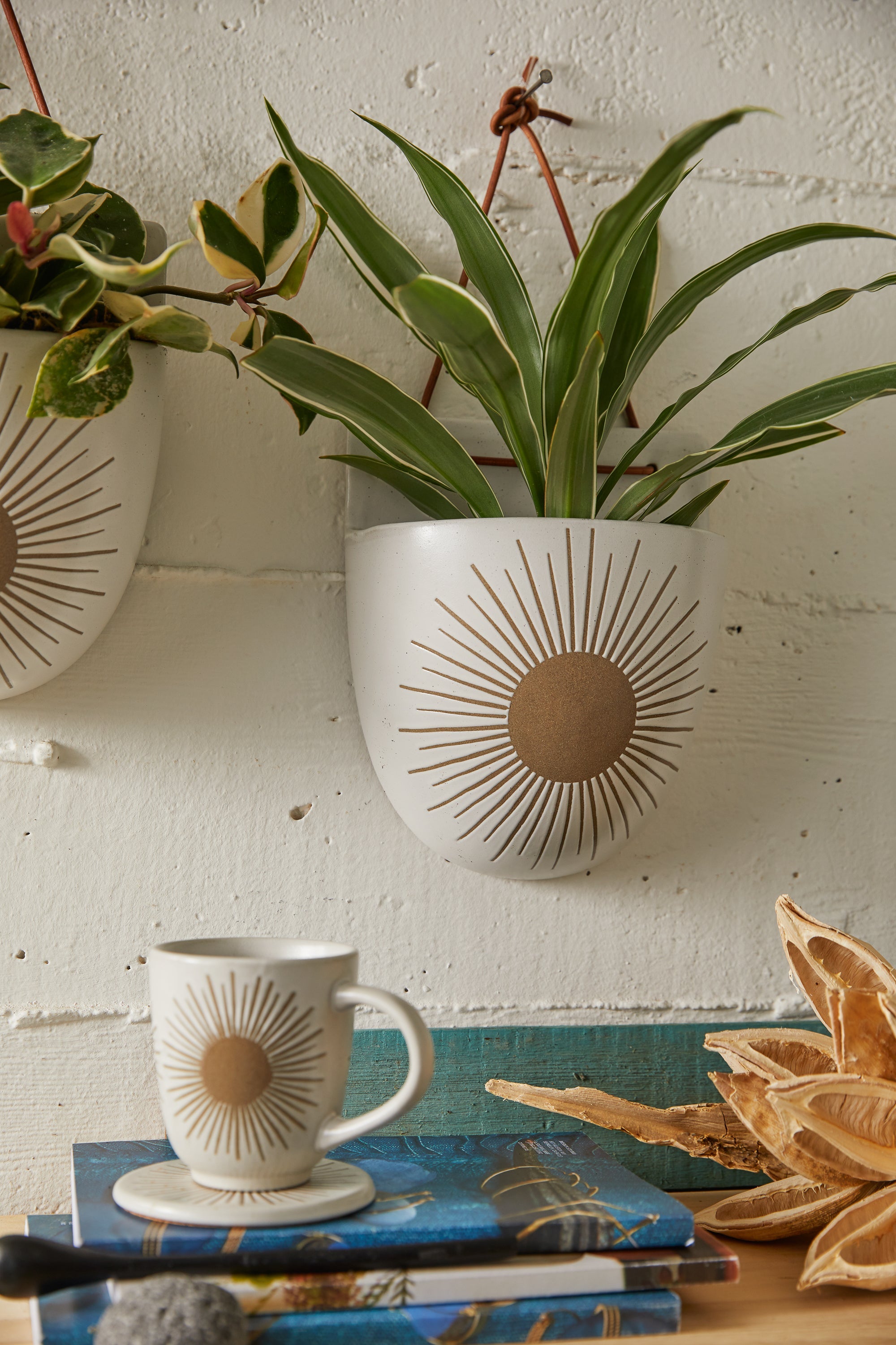 Sunrise-to-Sunset Wall Planter Pocket