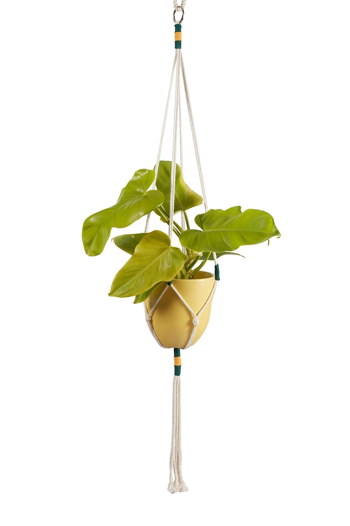 Macrame Hanging Planter Yellow